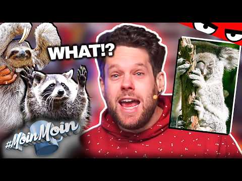 MOMENT ... Bin ich der Einzige, der das nicht wusste?! | MoinMoin mit Florentin