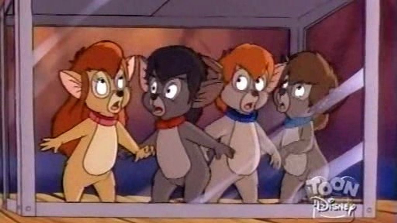 Käpt'n Balu und seine tollkühne Crew