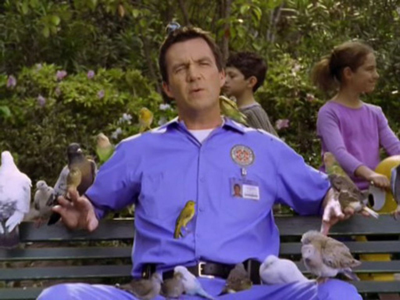 Scrubs – Die Anfänger
