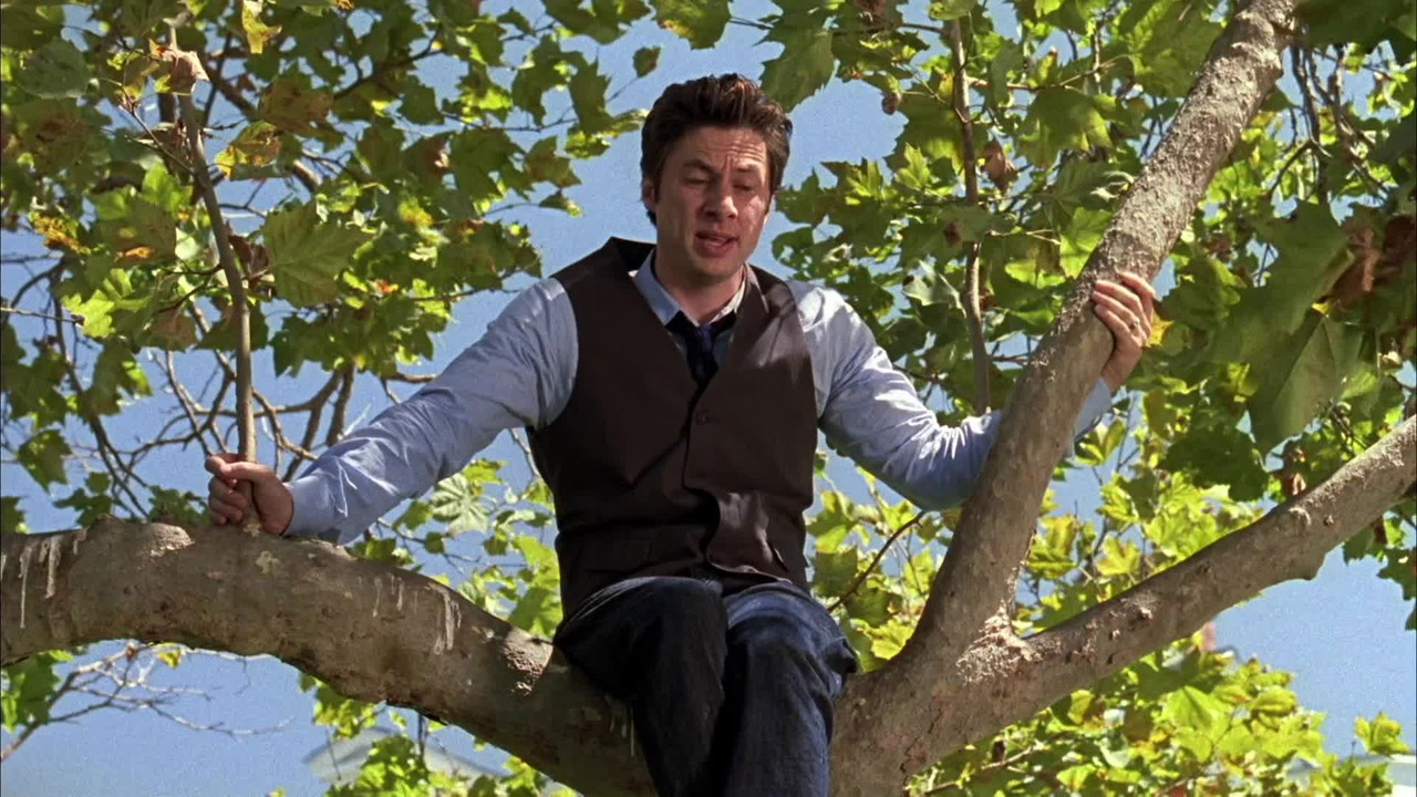 Scrubs – Die Anfänger