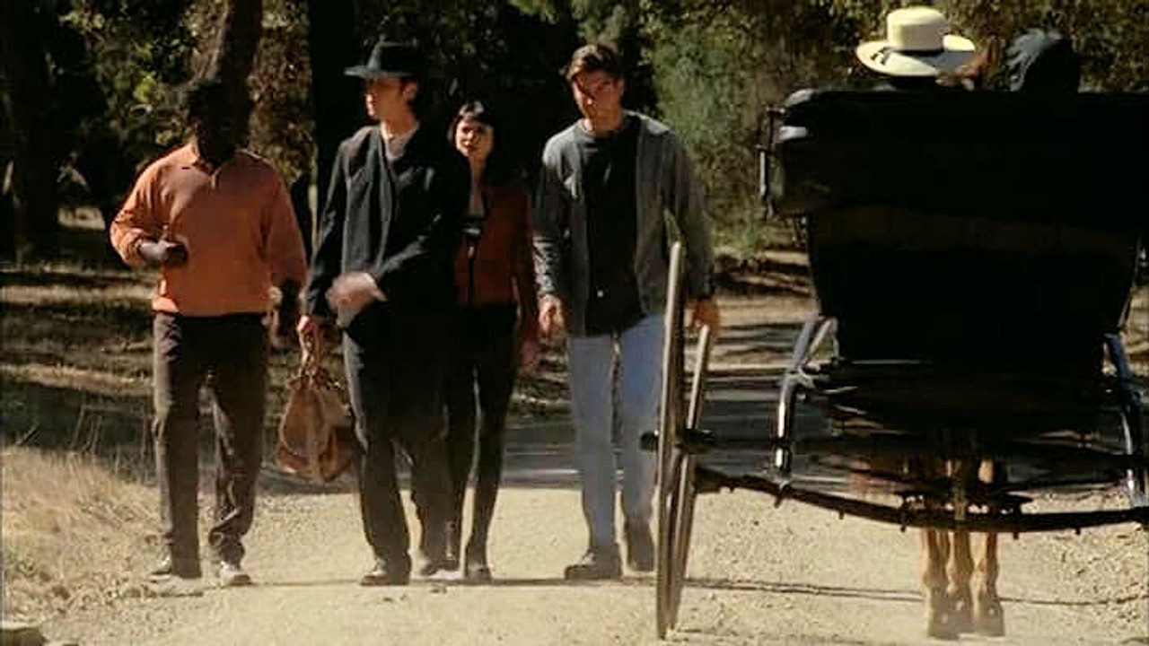 Sliders