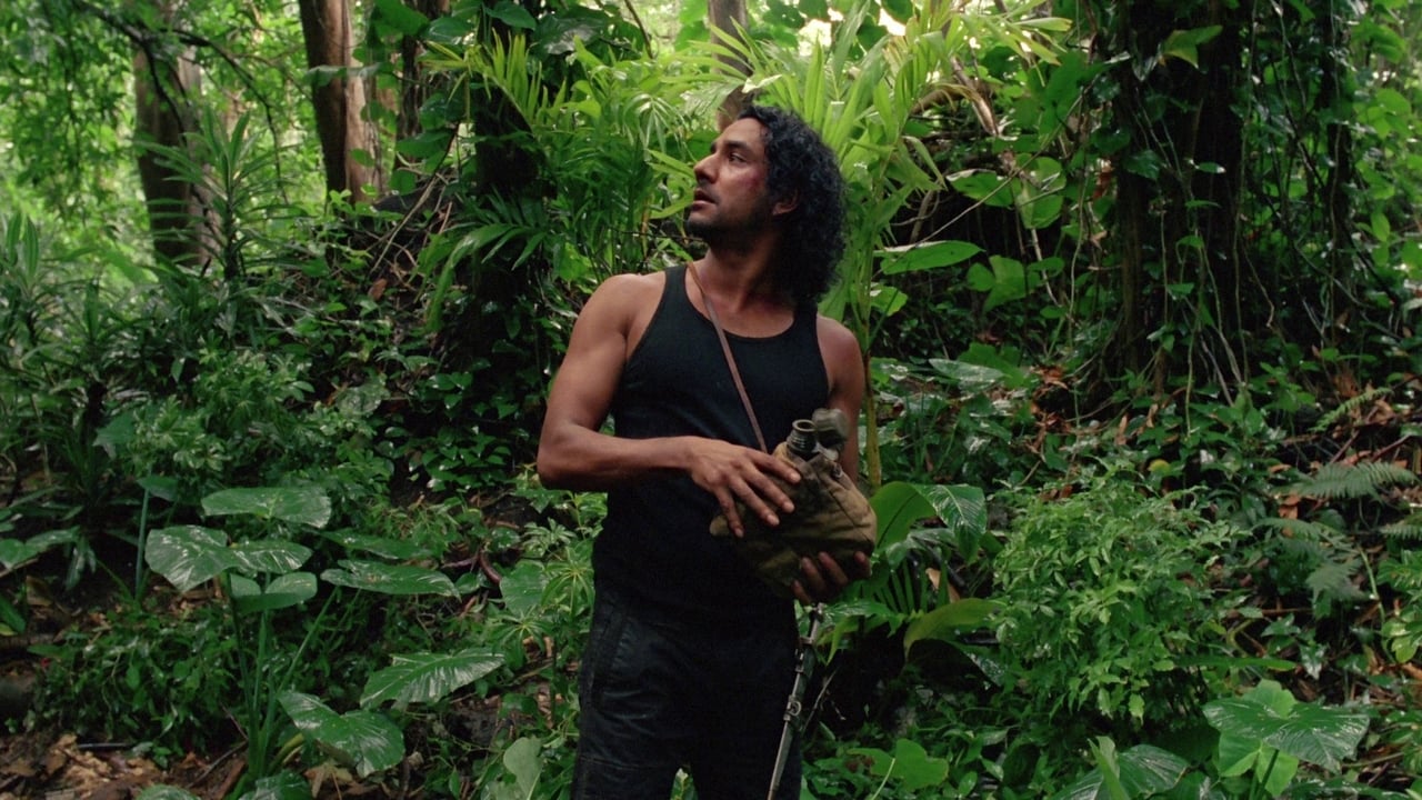Lost