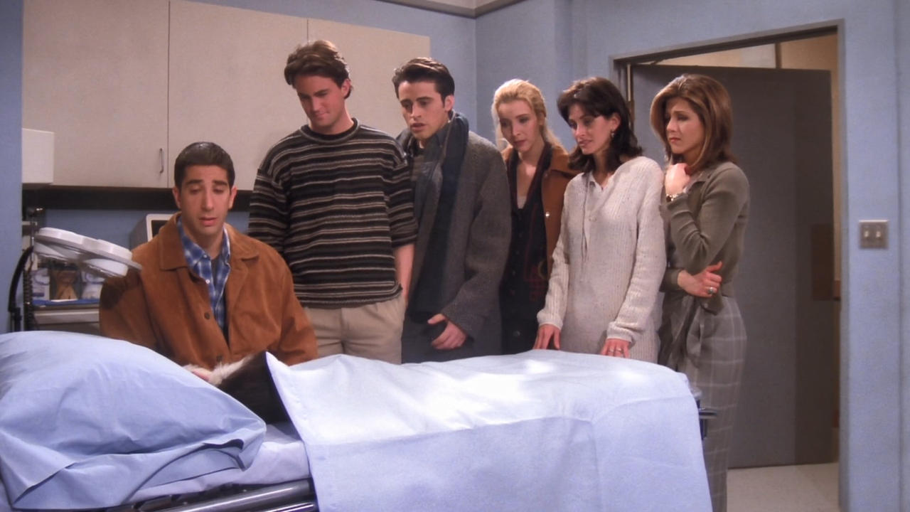 Friends