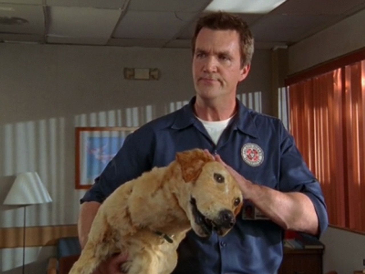 Scrubs – Die Anfänger