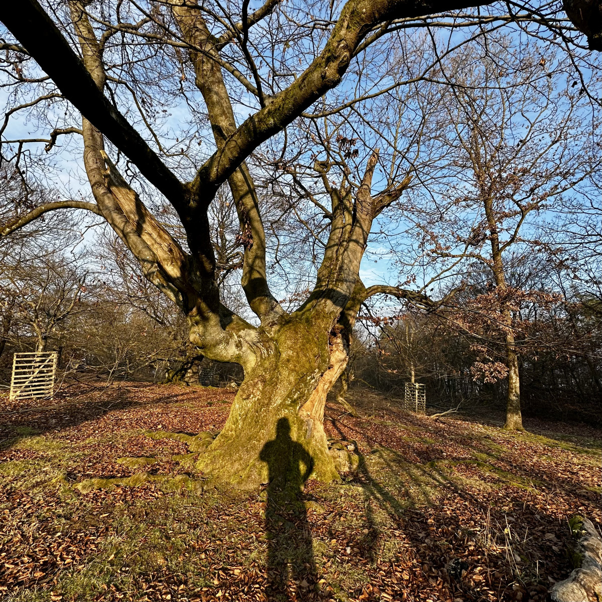 Selbstporträt. Entstanden bei Albertshausen, Bad Wildungen.