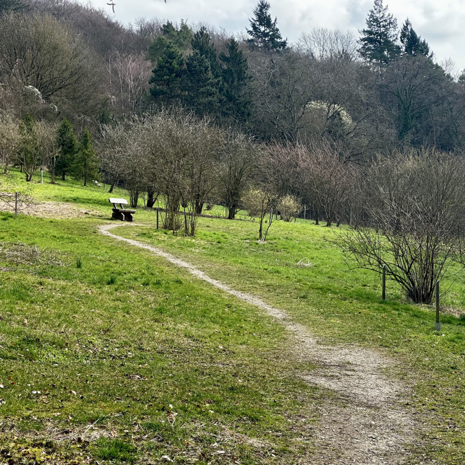Heute am ehemaligen Tierpark von #goettingen vorbeigekommen. Mein Baujahr passt nicht mehr ganz dazu, dass ich den noch selbst erlebt habe. Aber von Leuten, die damals dort waren, hört man ziemlich einheitliche Erinnerungen: kein besonders schöner Ort. Toll, was jetzt daraus gemacht wurde.