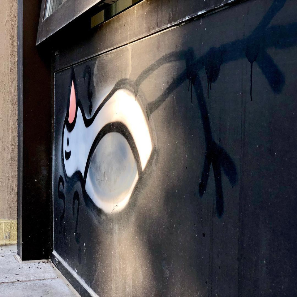 Die Sonne kam zu spät.