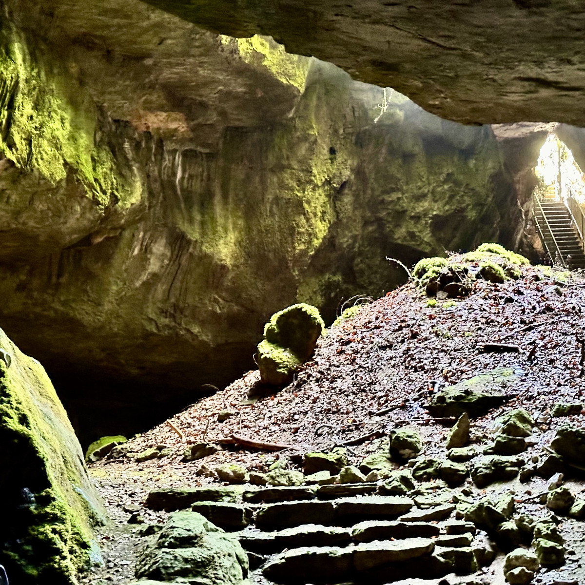 Neandertaler im #Harz🚶‍♂️🦴