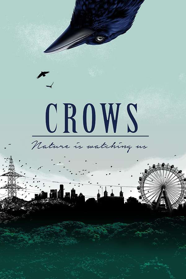 Crows