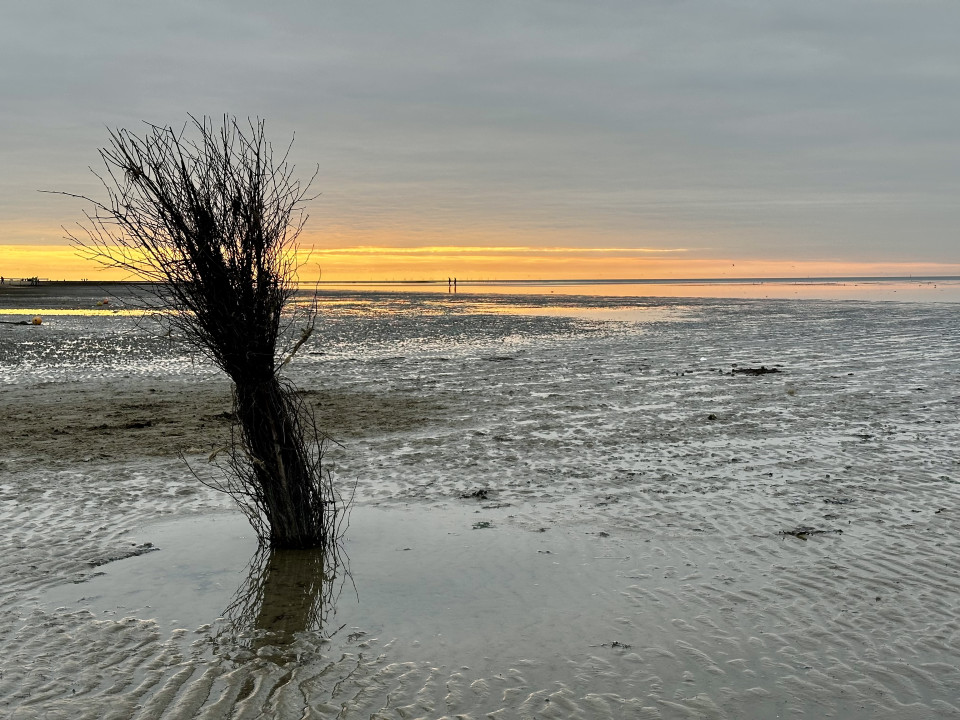 Stonehenge, Nebra und dann Duhnen