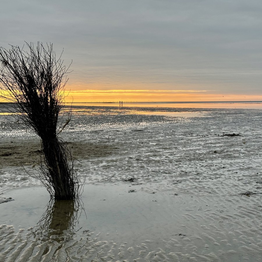 Watt bei Cuxhaven im Sonnenuntergang