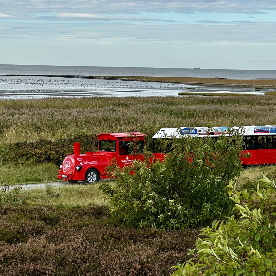 Der Cuxliner fährt zwischen Sahlenburg und Duhnen, ideal für Touristen. Fahrt kostet 7 Euro.
