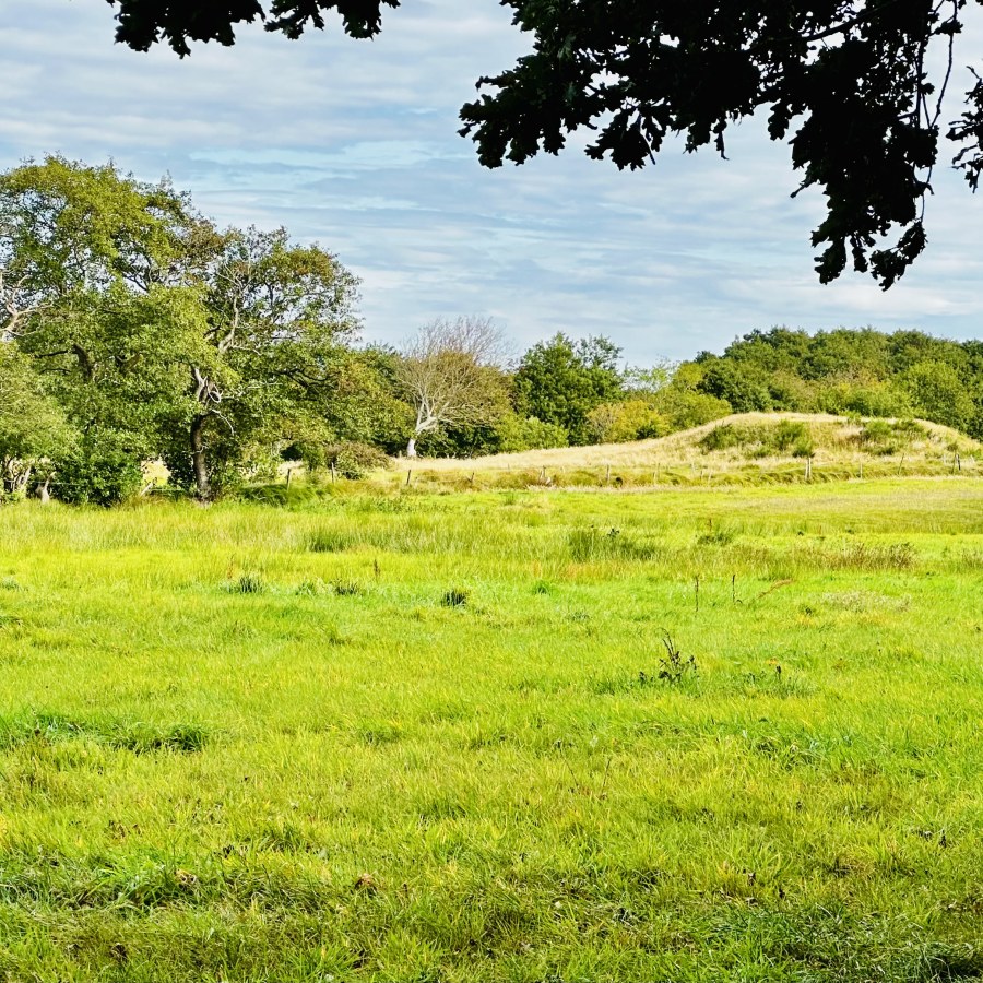 Twellberg-Grabhügel in Sahlenburg, umgeben von Wiesen und Bäumen unter einem bewölkten Himmel.