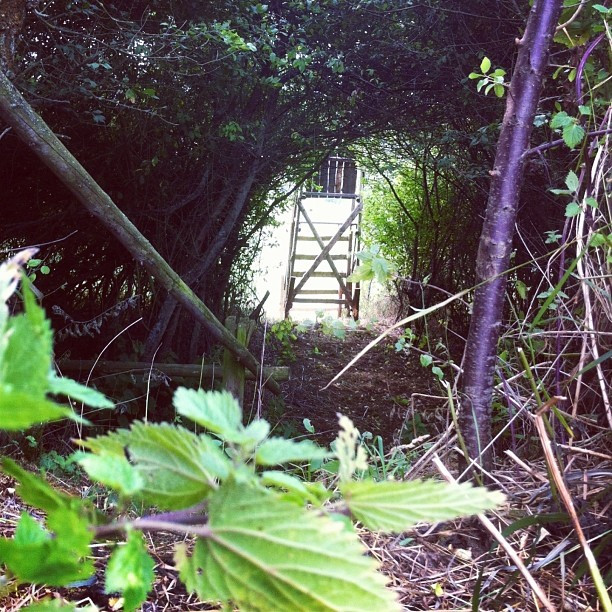 Unterwegs beim Wendebauchstausee #latergram #geochaching