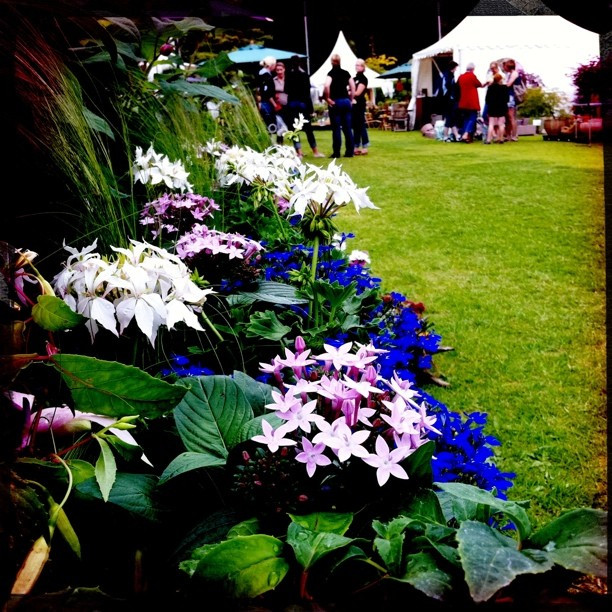 Klassika & Burgturnier