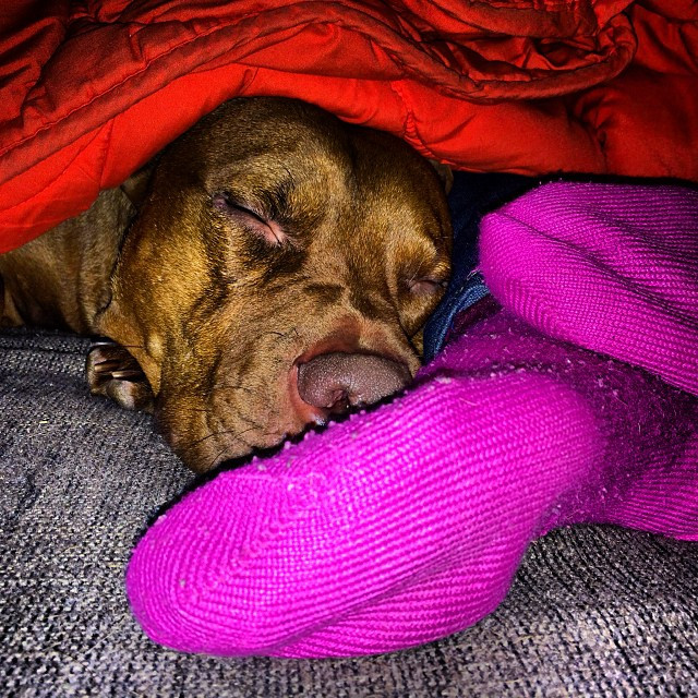 Todesmutig? Oder lebensmüde?