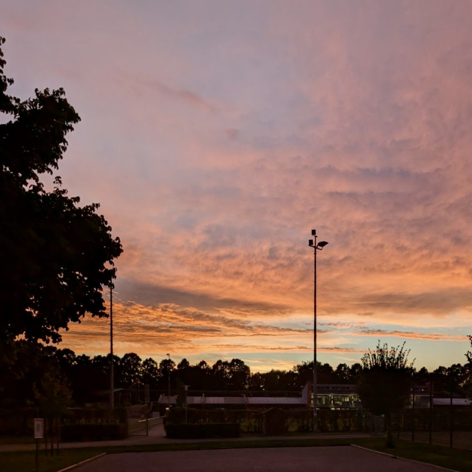Boule neben dem Trekkerspielplatz. Montags ist das noch schöner als sonst, weil die Swing-Leute dazukommen. Erst das Klackern der Kugeln, dann das staubige Rascheln der Tanzschuhe im Kies, und alles irgendwie in einem Rhythmus. 

Das Licht war ein Geschenk. Auf der einen Seite dieses Spiel der Sonne in den Bäumen. Und gleichzeitig auf der anderen Seite ein Sonnenuntergang, der so aussah, als hätte jemand ihn mit Buntstiften nachgezogen. 

Zwischen zwei Spielen dann der Satz eines alten Hasen: „Boule ist nicht einfach. Wenn ich was Einfaches will, dann spiele ich Fußball.“ Den habe ich mir gemerkt.