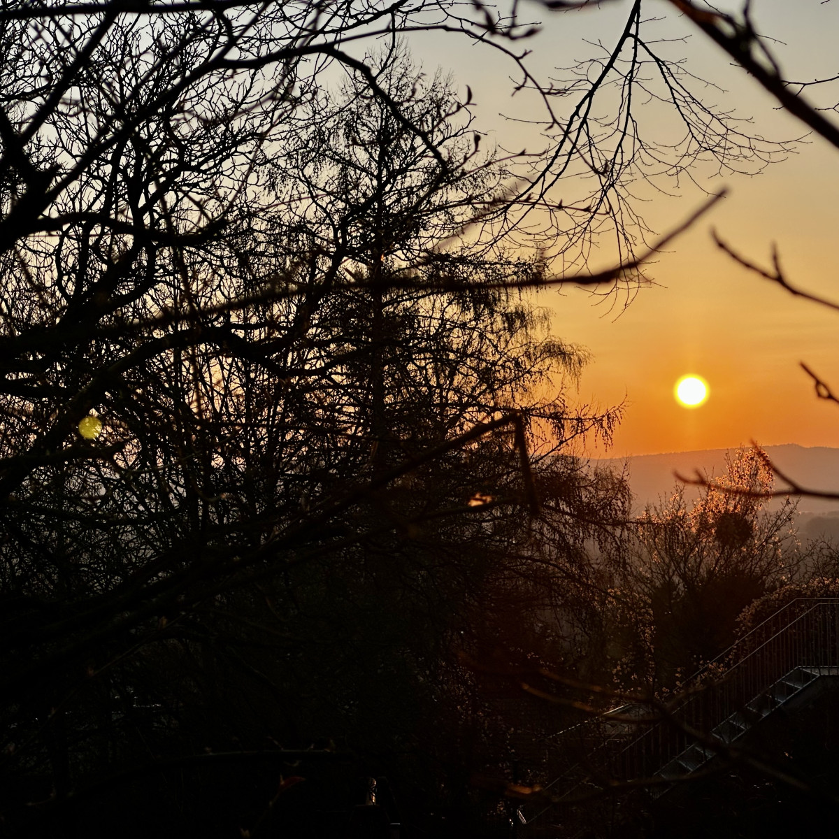 Foto – Göttingen – 2026-03-05