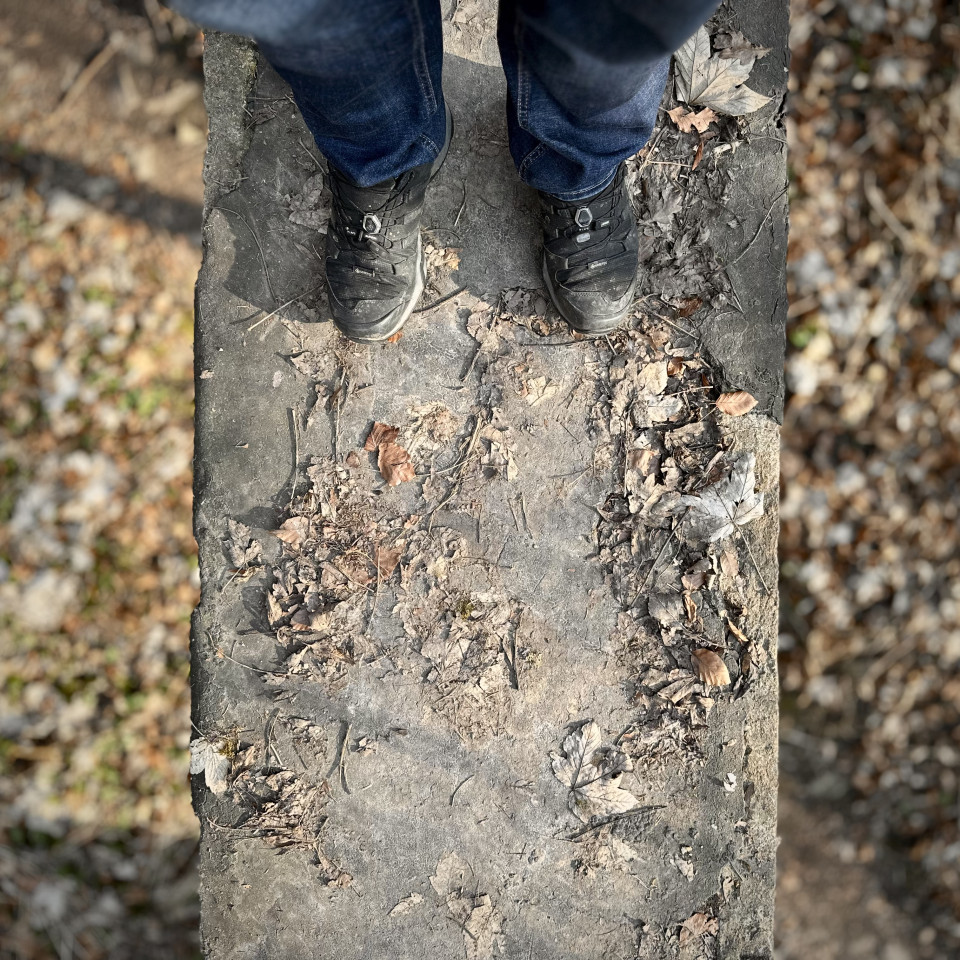 Heute Nachmittag wieder einmal im Stadtwald unterwegs gewesen. Das nächste mal hoffentlich wieder mit Jogging-Schuhen.
