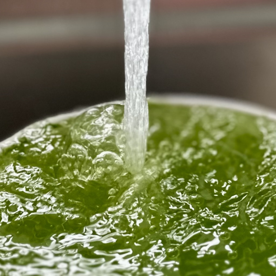 Bei uns hat die Bärlauch-Saison begonnen. Schönen Feiertag euch allen!