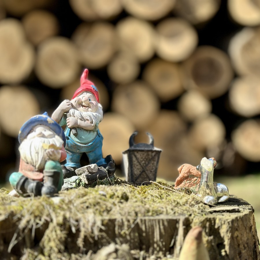 Zwei Gartenzwerge stehen auf einem Baumstumpf, umgeben von Holzscheiten und einer kleinen Laterne.