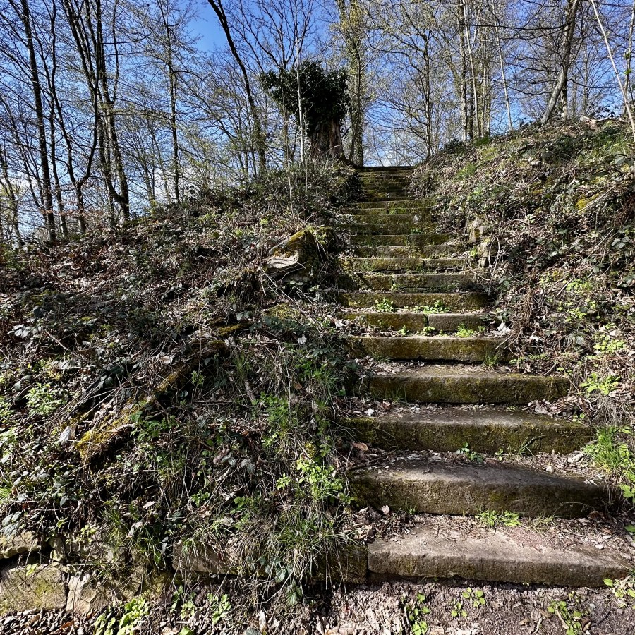Steinerne Treppe, umgeben von Bäumen und Pflanzen, führt hinauf zu einem bewaldeten Bereich.