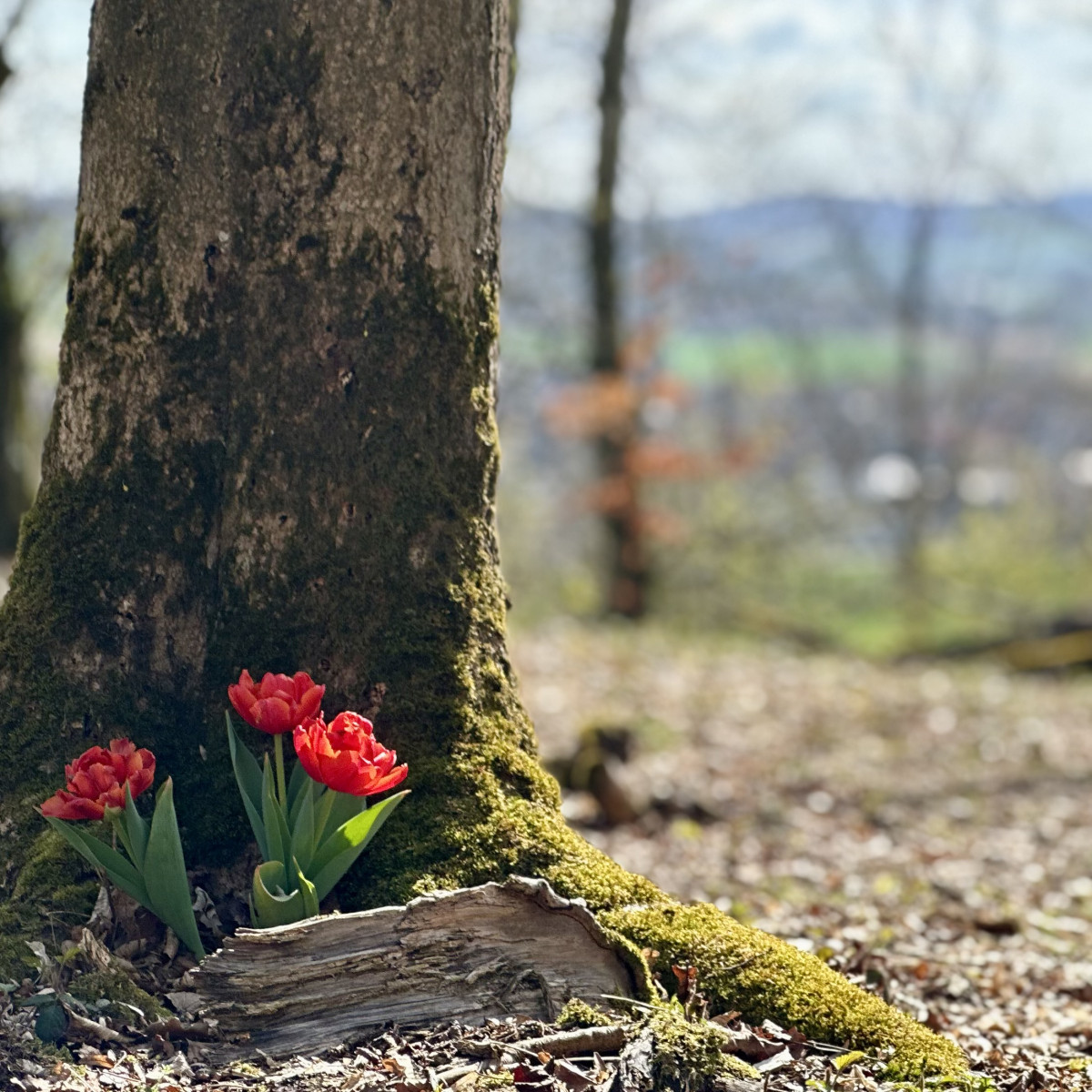 Geburtstag, Gürtel, Gartenzwerge: Besuch im Ohrbergpark
