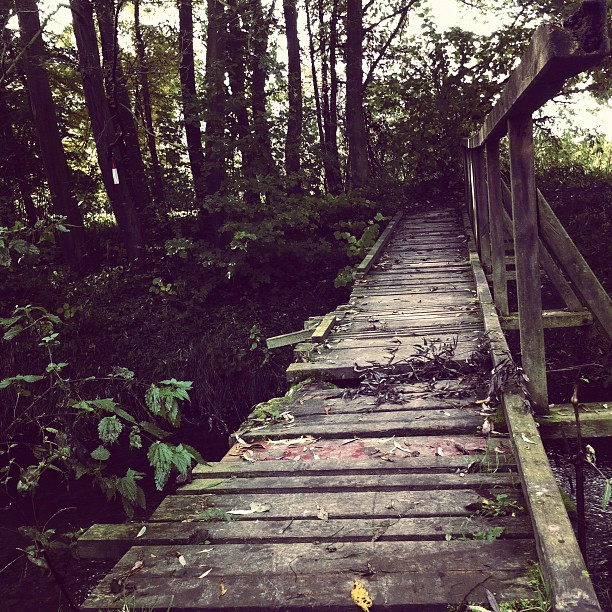 Resonanzkataströphchen