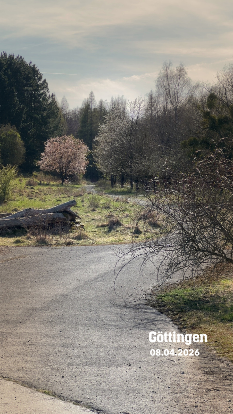 Borheckstraße am 8. April 2026