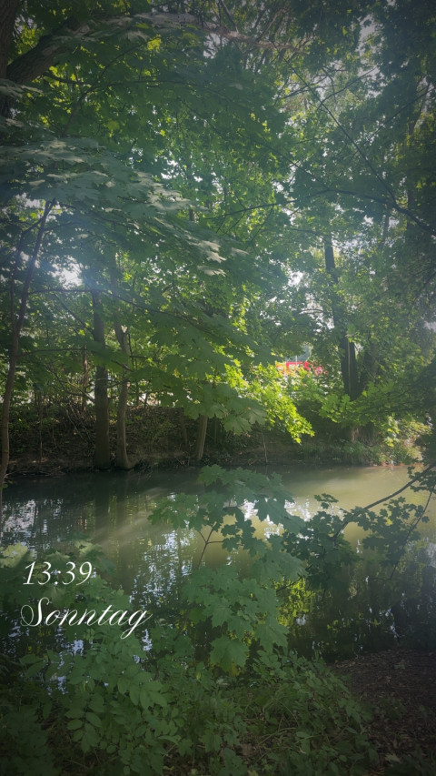 Freibad Brauweg am 16. August 2026