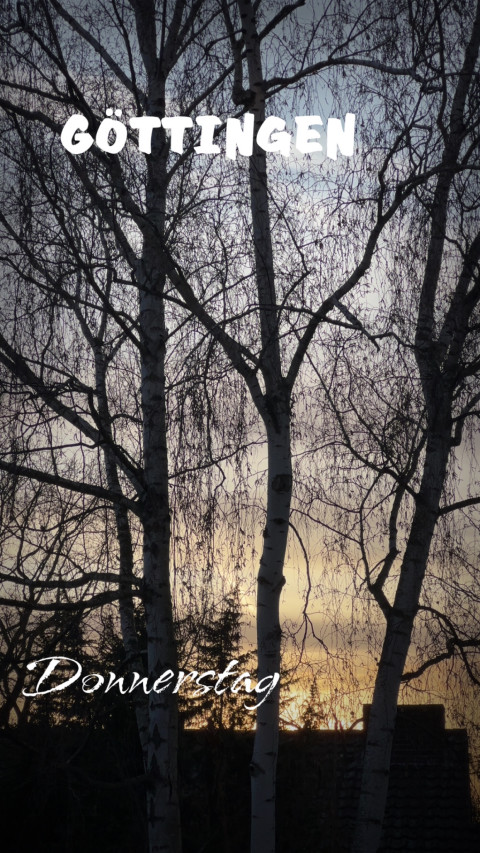 Geismar am 12. März 2026