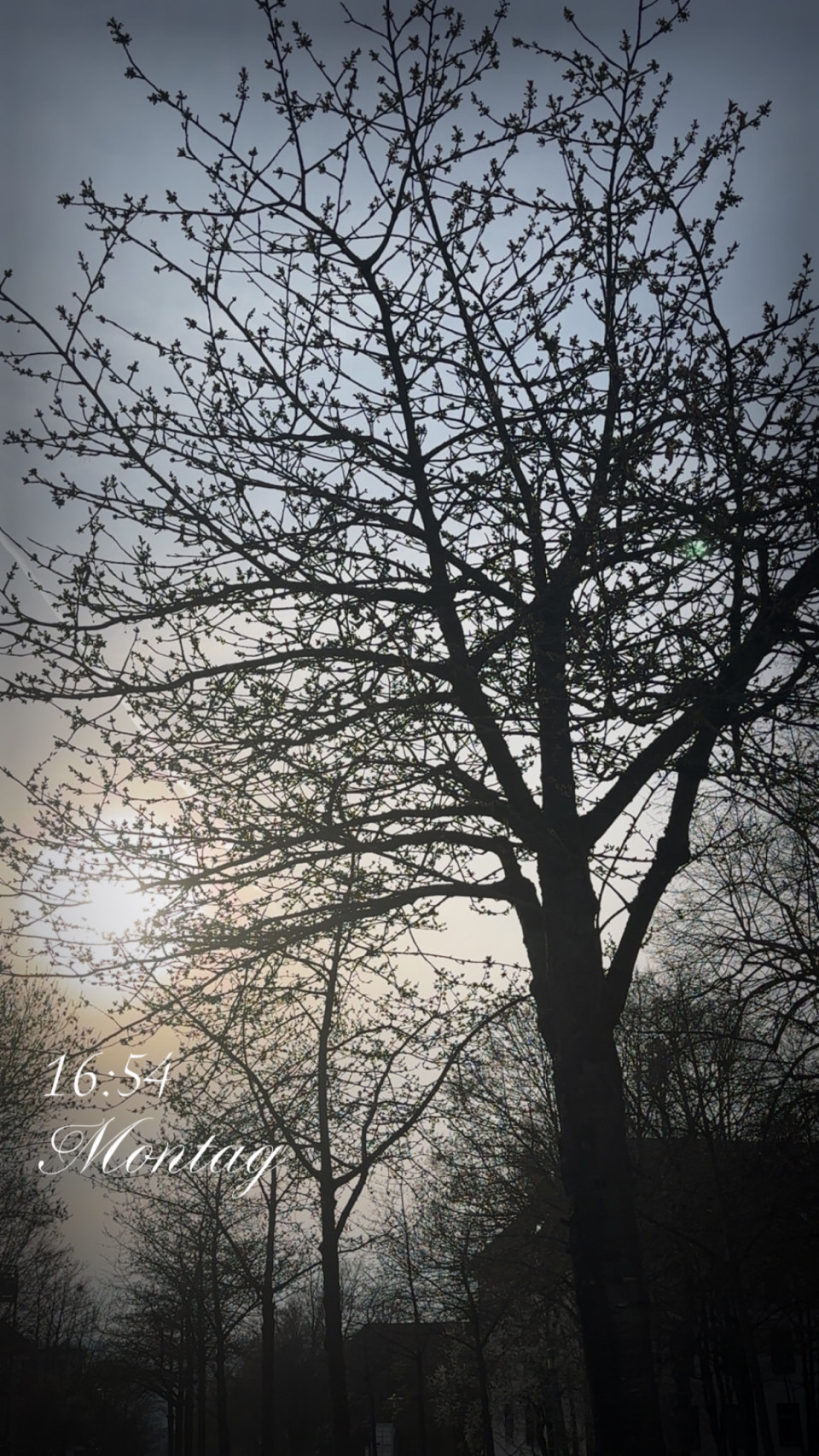 Geismar am 23. März 2026