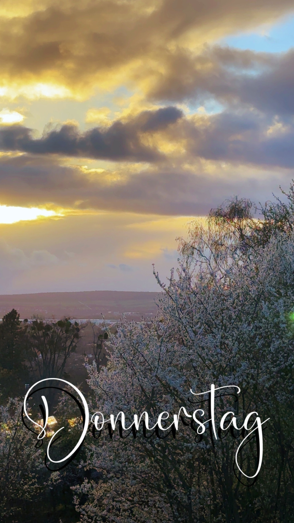 Geismar am 26. März 2026