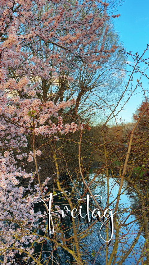 Geismar am 27. März 2026