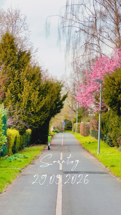 Geismar am 29. März 2026