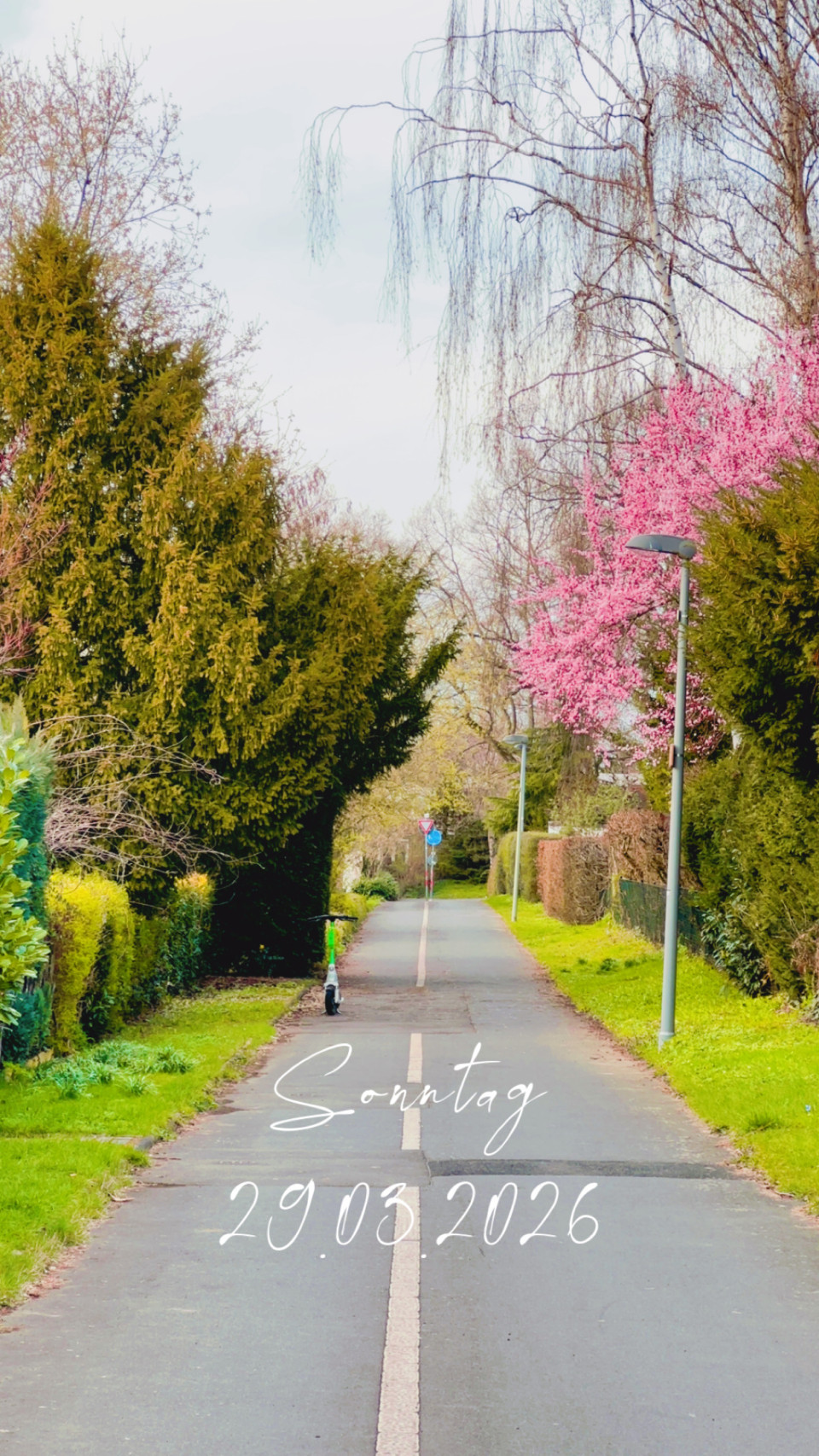 Geismar am 29. März 2026