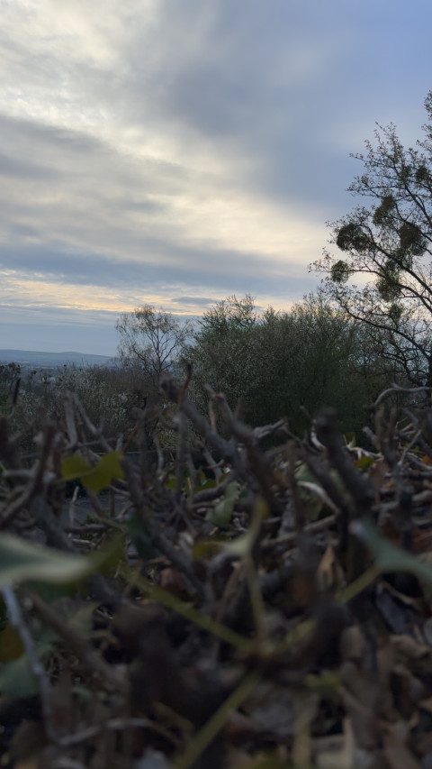 Geismar am 3. April 2026