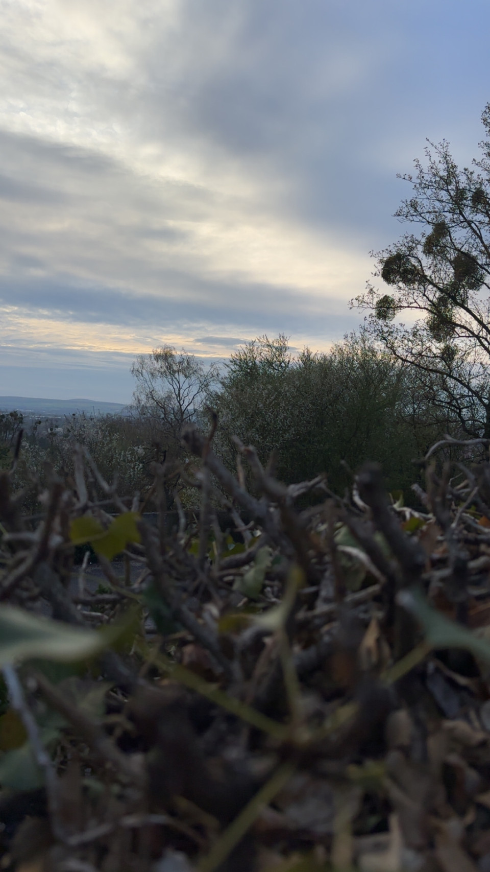 Geismar am 3. April 2026