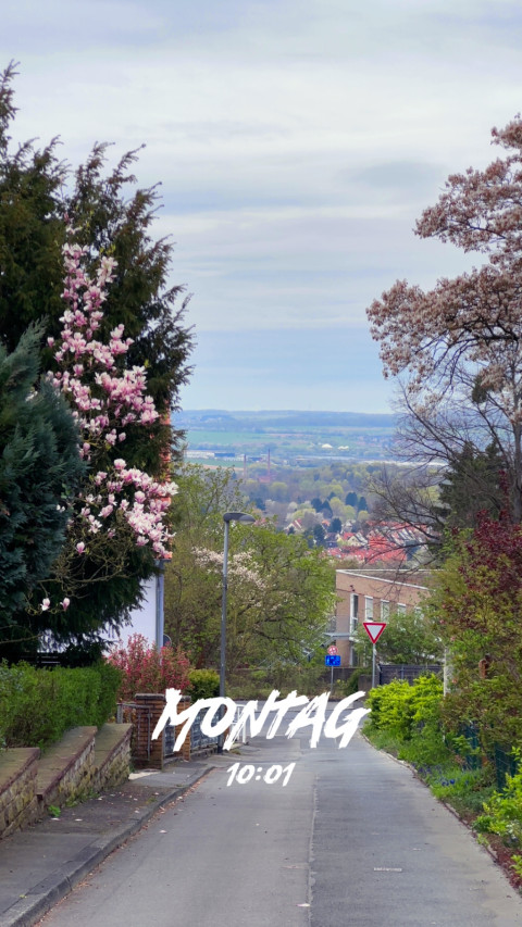 Geismar am 13. April 2026