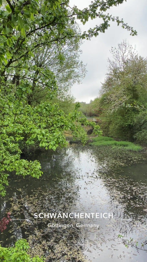 Geismar am 21. April 2026