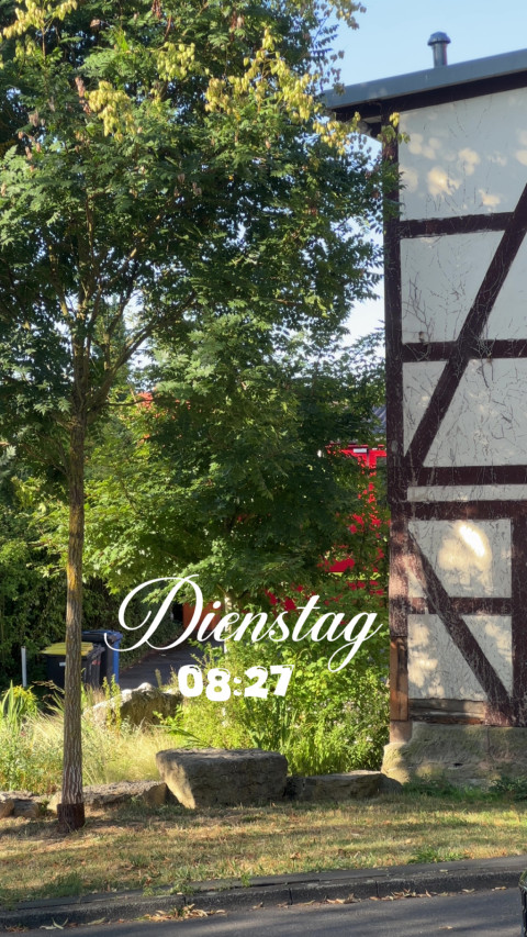 Geismar am 11. August 2026