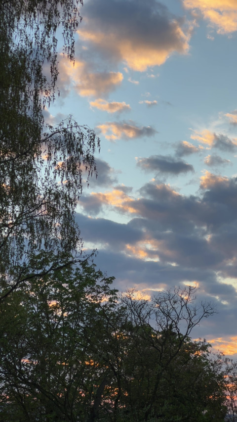 Glockenweg am 16. April 2026