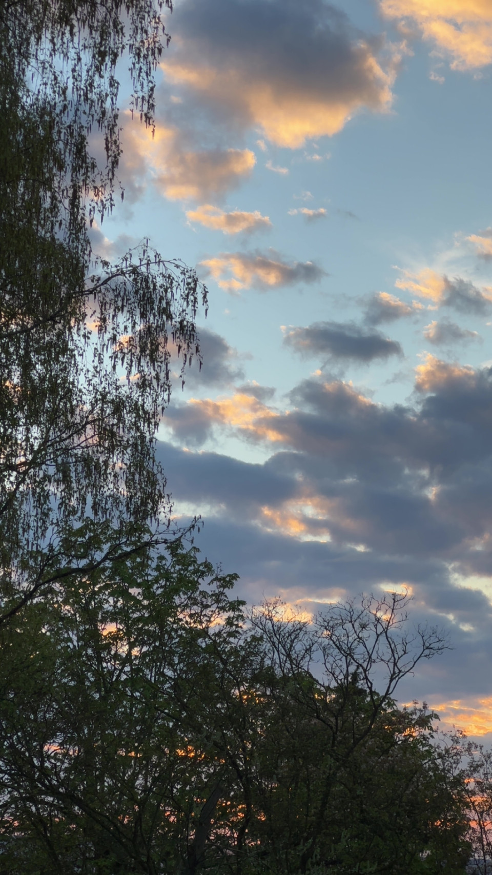 Glockenweg am 16. April 2026