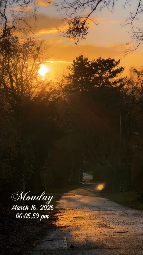 Gustav-Freytag-Weg am 16. März 2026