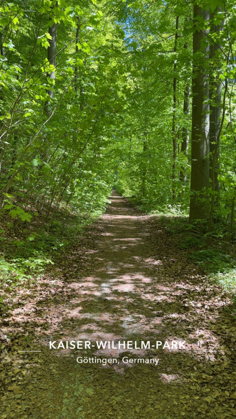 Ruprechtweg am 29. April 2026