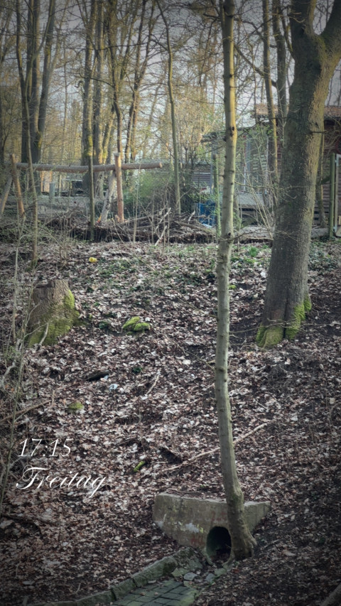 Südstadt am 20. März 2026