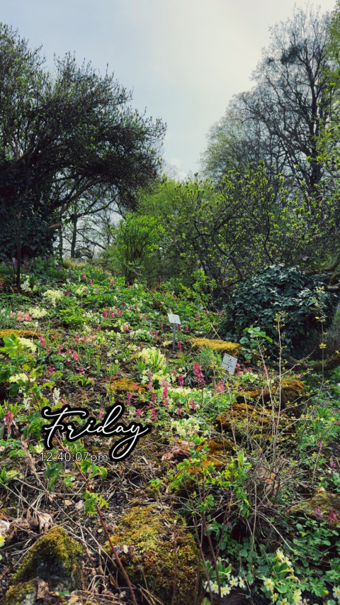 Sammlung von Algenkulturen am 10. April 2026