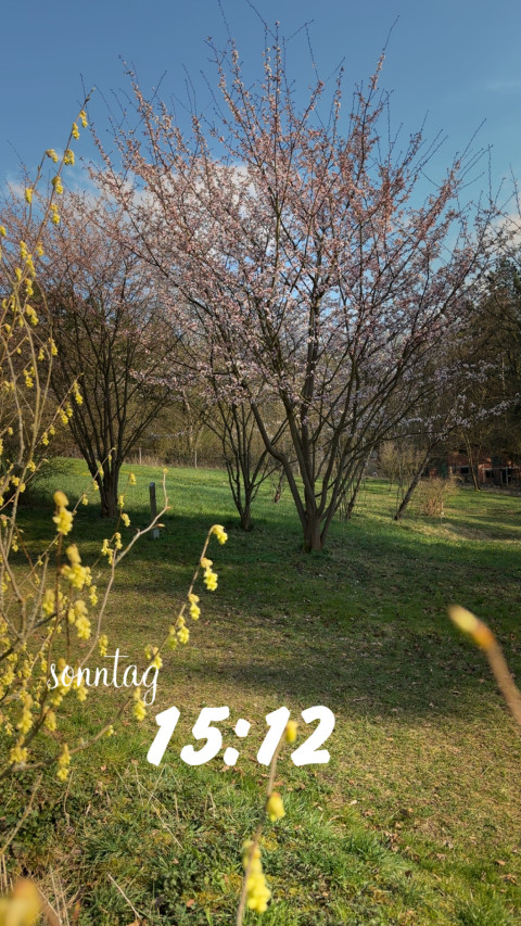 Schwarzer Weg am 22. März 2026