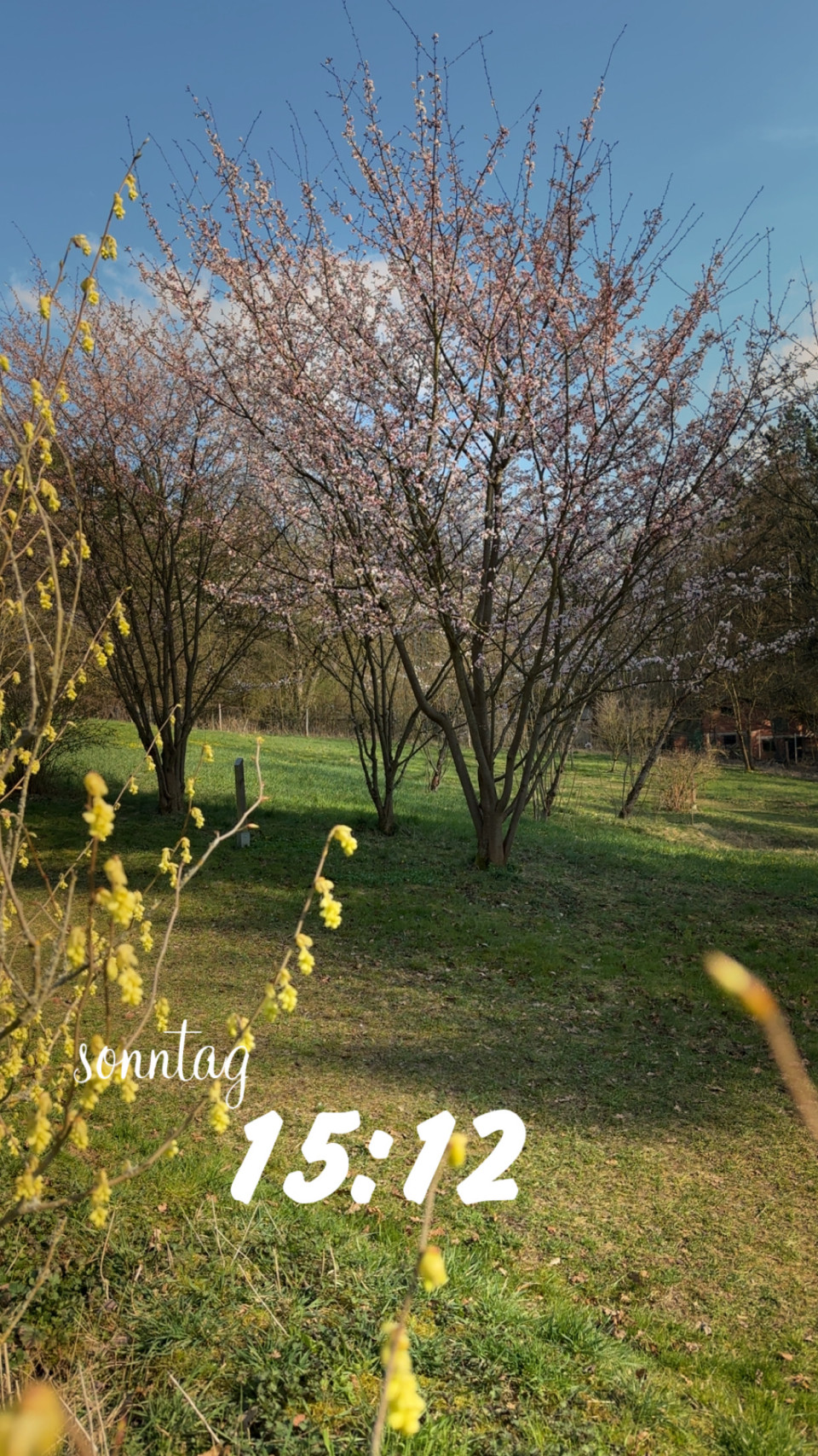 Schwarzer Weg am 22. März 2026