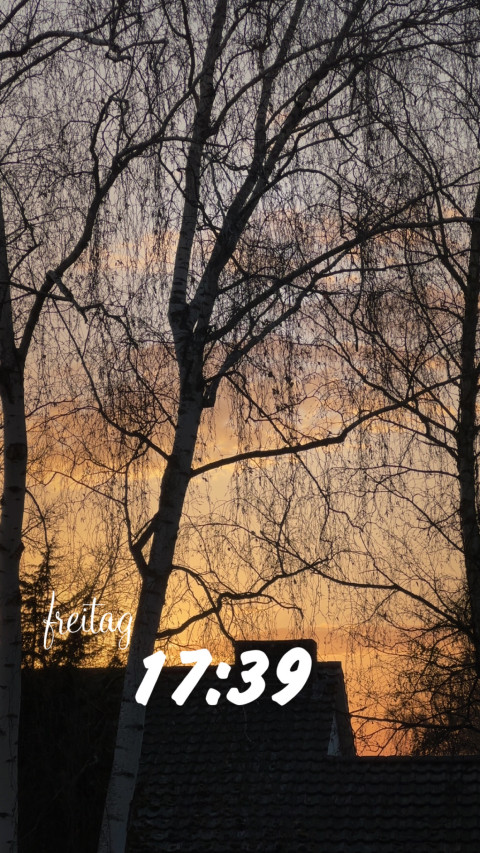 Geismar am 27. Februar 2026